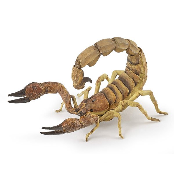 La figurine Scorpion fait partie des animaux de la vie sauvage (en principe peu sympathiques !) que les petits et les grands auront plaisir à animer