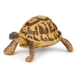 Figurine Tortue des Galapagos