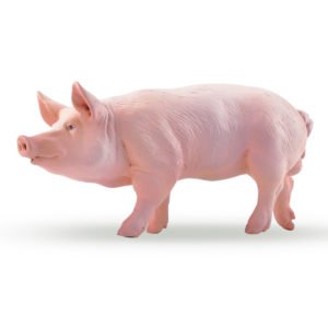 Figurine Cochon Verrat
