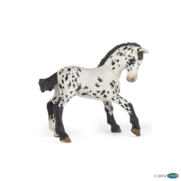 La figurine Poulain Appaloosa noir vous fait découvrir le monde de l'équitation. Cette reproduction fidèle de l'animal est parfaite pour jouer et s'inventer de belles aventures équestres.