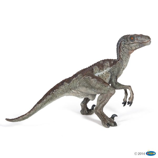 La figurine Dinosaure Vélociraptor vous permet d'aller à la rencontre du monde fascinant des dinosaures.