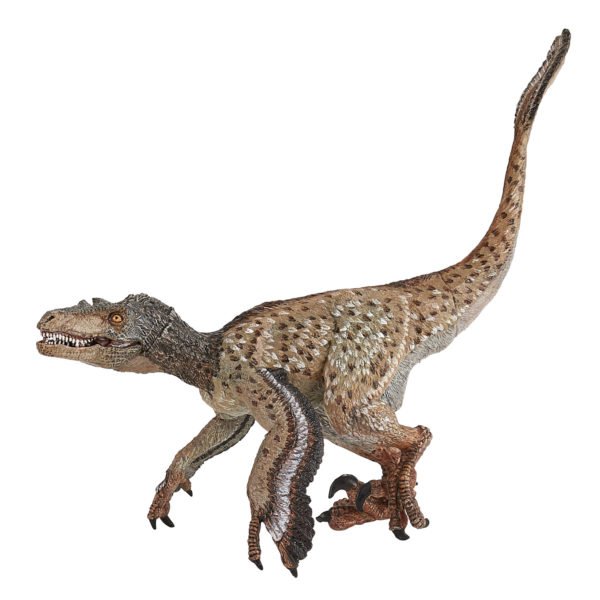 La figurine Dinosaure Vélociraptor à plumes vous permet d'aller à la rencontre du monde fascinant des dinosaures.