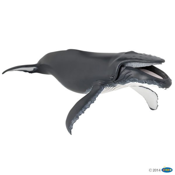 La figurine Baleine à bosse propose un plongeon dans les mers et les océans. On y découvrira toutes sortes de créatures marines que les petits et les grands auront plaisir à animer.