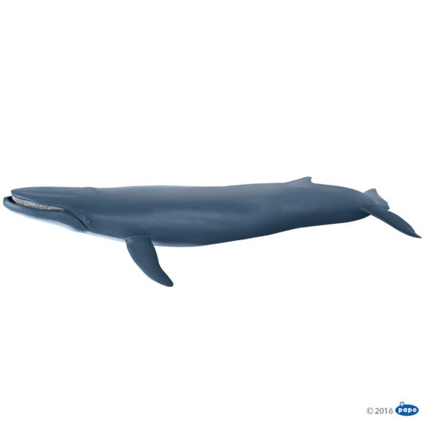 La figurine Baleine bleue propose un plongeon dans les mers et les océans. On y découvrira toutes sortes de créatures marines que les petits et les grands auront plaisir à animer.