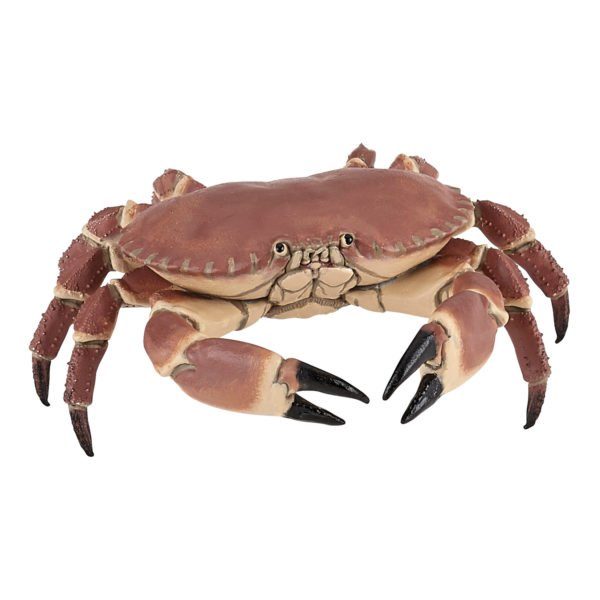 La figurine Crabe propose un plongeon dans les mers et les océans. On y découvrira toutes sortes de créatures marines que les petits et les grands auront plaisir à animer.