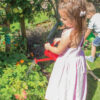 Cet outil de jardin  très bon moyen d'initier les enfants au plaisir du jardinage dès l'âge de 3 ans.