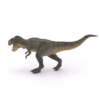 Le tyrannosaure était probablement le plus grand dinosaure carnivore.