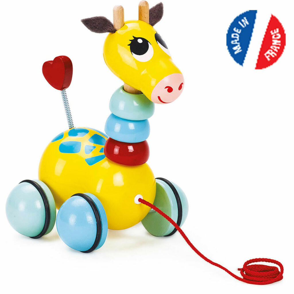 Jouet à Pousser Jouets à Pousser Et à Tirer Pour Les Tout-petits Jouet A Pousser