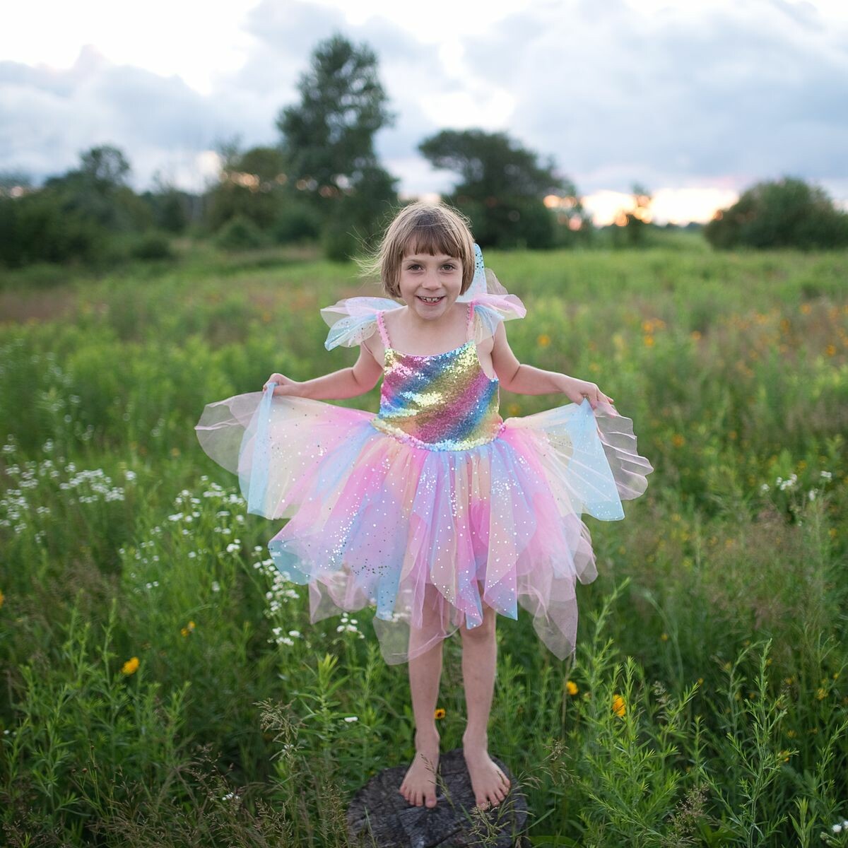 Robe de princesse fille de 4 à 6 ans - Déguisements et accessoires