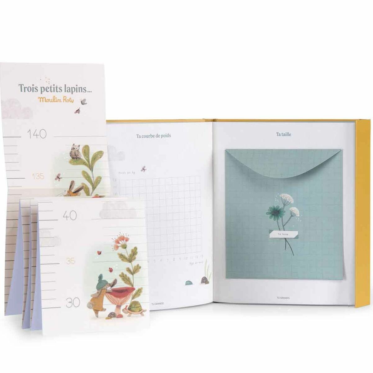 80 pages richement illustrés, des textes non genrés, une fermeture aimantée, 6 enveloppes à souvenirs, une toise