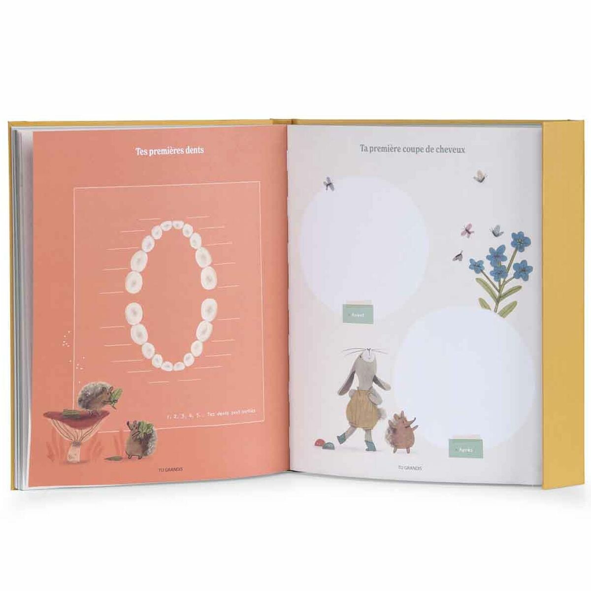 80 pages richement illustrés, des textes non genrés, une fermeture aimantée, 6 enveloppes à souvenirs, une toise
