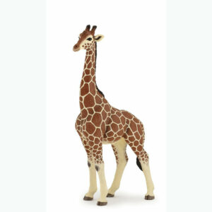 Figurine Girafe mâle