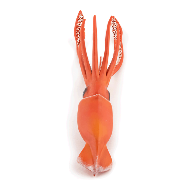 La figurine du Calamar géant propose un plongeon dans les mers et les océans.
