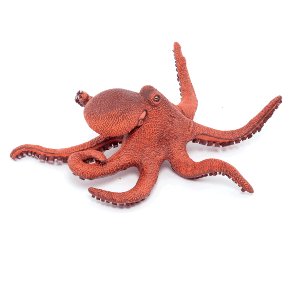 La figurine de la Petite Pieuvre propose un plongeon dans les mers et les océans.