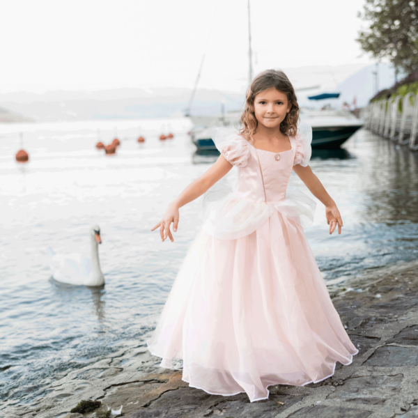 Découvrez cette superbe Robe classique de princesse rose de taille 3/4 ans qui transportera votre enfant aux pays de ses rêves.