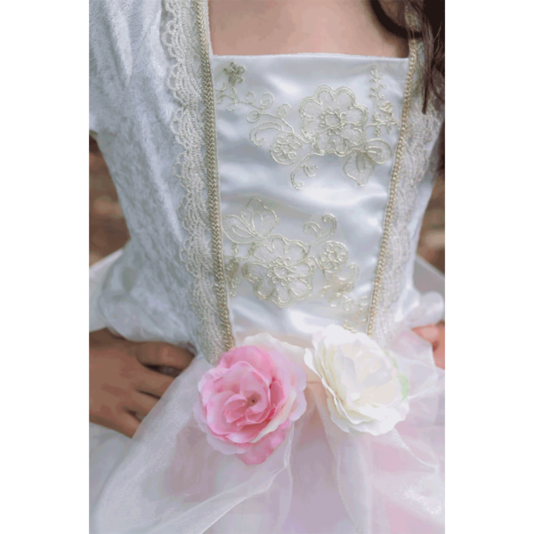 Le corsage en velours a été paré de belles broderies dorées.