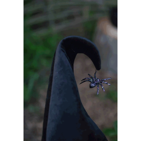 une autre araignée noire pailletée pend du chapeau