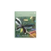 Activite_creative_Cartes_fantastiques_Tout_autour_du_monde_Moulin_Roty Cartes fantastiques Tout autour du monde